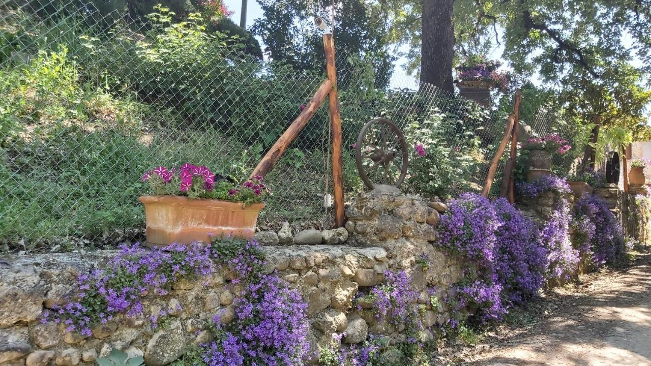 La Limonaia Country House Monteriggioni Dış mekan fotoğraf